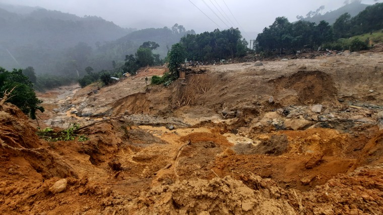 Thương trò mồ côi ảnh 1