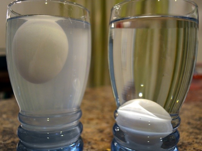 6 thí nghiệm đơn giản tại nhà giúp trẻ giảm stress, yêu khoa học ảnh 4