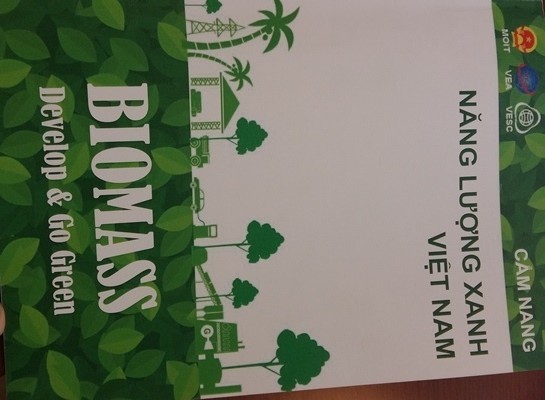 Khai thác năng lượng sinh khối ở Việt Nam chưa xứng với tiềm năng ảnh 1