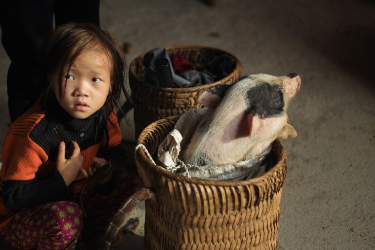 Chợ lùi: độc đáo Hà Giang ảnh 4