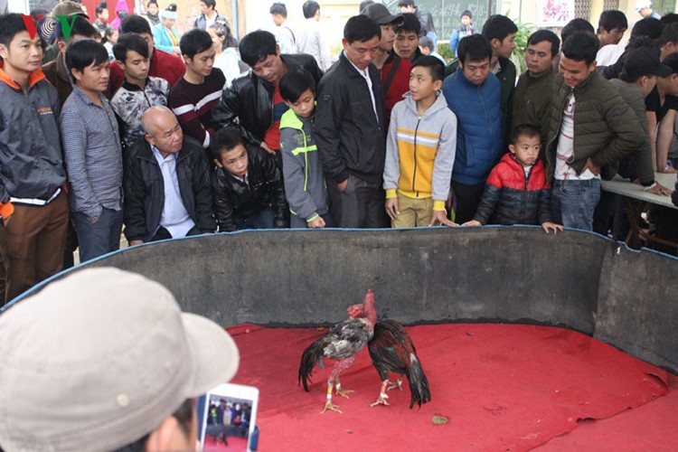 Xem thi bắt cá, thêu khăn Piêu ở Lễ hội “Mùa hoa Ban” Sơn La ảnh 4