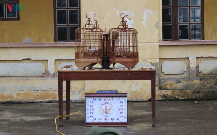 Xem thi bắt cá, thêu khăn Piêu ở Lễ hội “Mùa hoa Ban” Sơn La ảnh 6