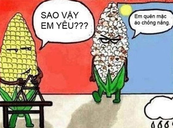 Cười chảy nước mắt với ảnh chế ngày nóng kỷ lục ảnh 5