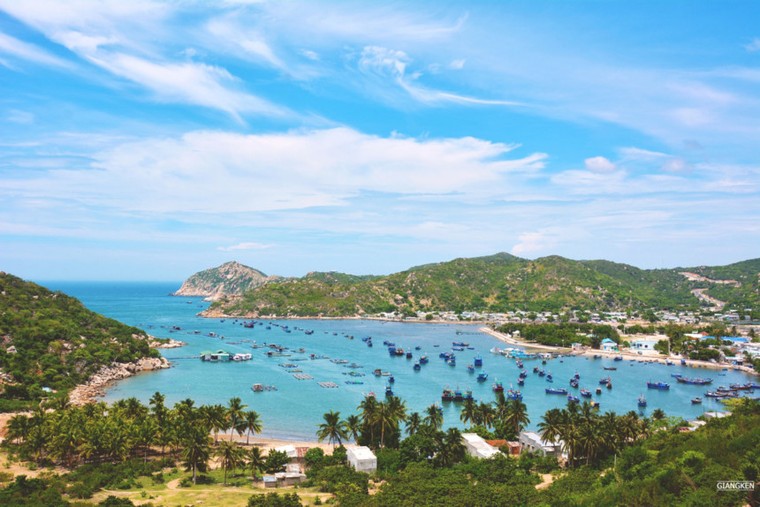 Mùa hè rực lửa trên cung đường biển đẹp nhất Việt Nam ảnh 8