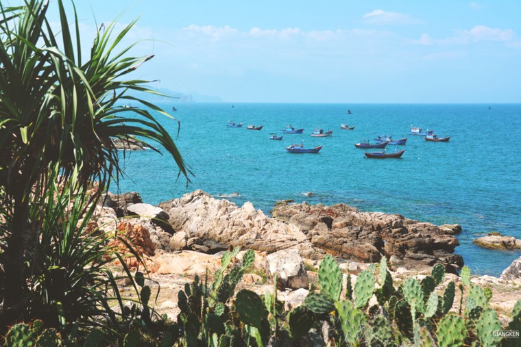 Mùa hè rực lửa trên cung đường biển đẹp nhất Việt Nam ảnh 13