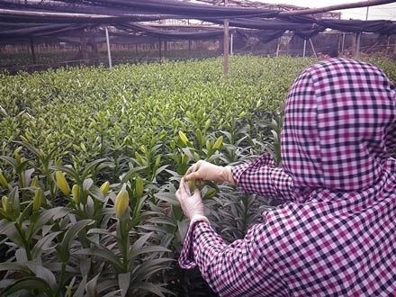 Sổ đỏ là đầu câu chuyện ảnh 2