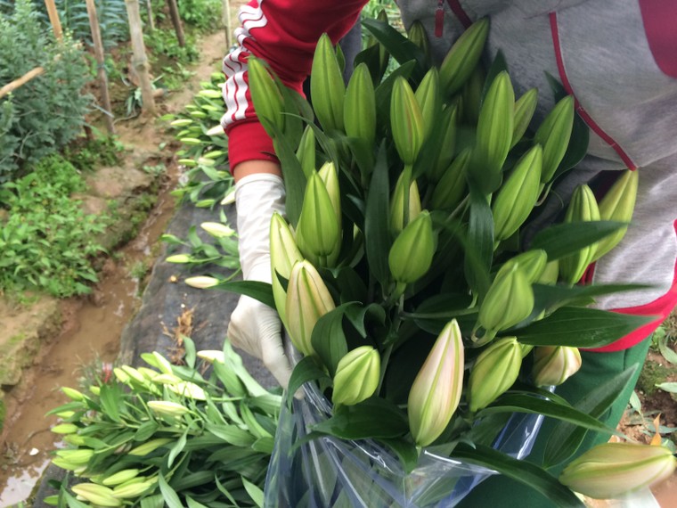 Sổ đỏ là đầu câu chuyện ảnh 1