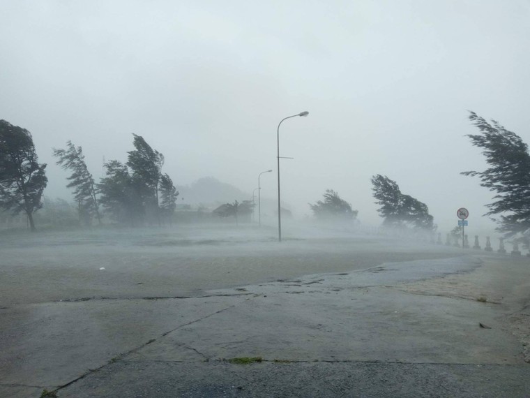 Bão số 10: Nhà tốc mái, tường sập, cột điện gãy đổ ảnh 1