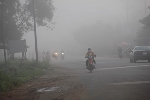 Sương mù bao phủ dày đặc ở Tây Ninh ảnh 1