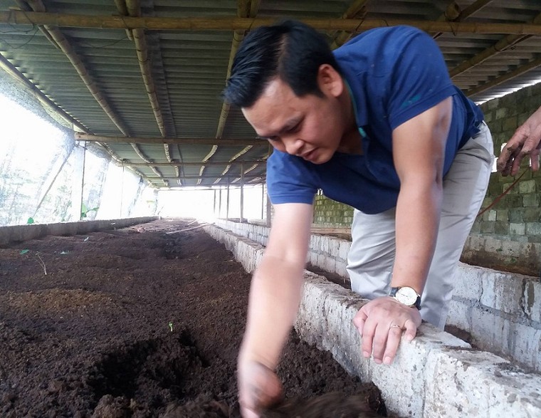 Muốn ăn nông sản sạch thì phải 'lăn' vào nông trại ảnh 1