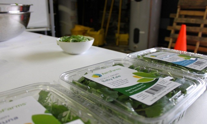 Bí ẩn bên trong trang trại rau sạch thẳng đứng lớn nhất thế giới ảnh 11