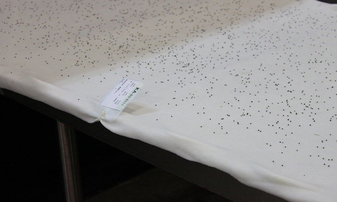 Bí ẩn bên trong trang trại rau sạch thẳng đứng lớn nhất thế giới ảnh 2