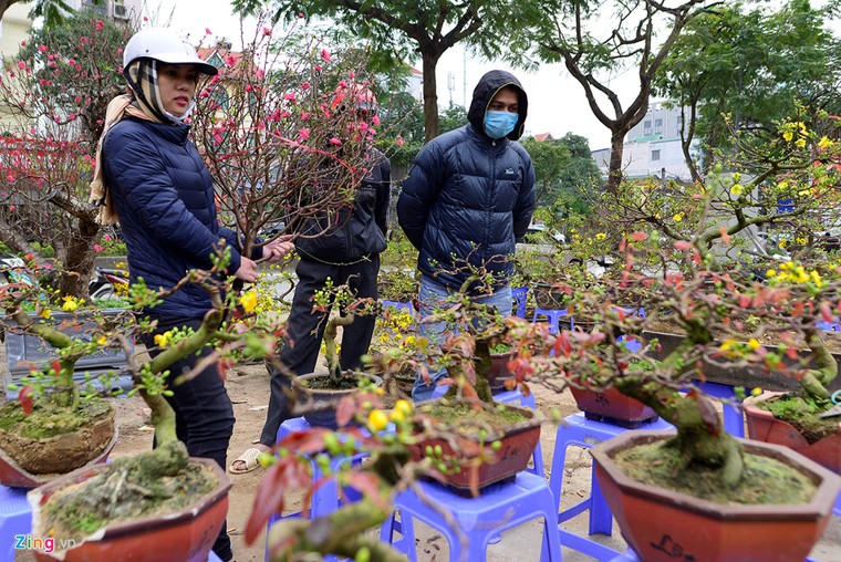 Người Hà Nội tấp nập đi sắm Tết sớm ảnh 5