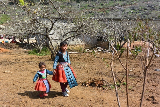 Tiếng khèn gọi Tết về trên bản Mông ảnh 3