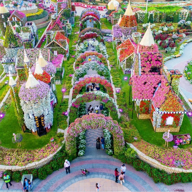 'Check in' vườn hoa lớn nhất giữa sa mạc ảnh 4