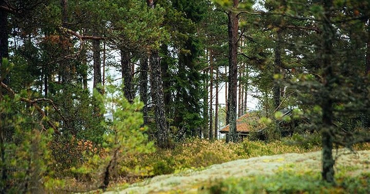 Bay bổng trên hòn đảo tuyệt đẹp cấm nam giới 'bén mảng' đến ảnh 5