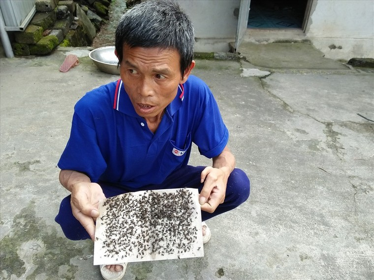 Dân không nuốt nổi cơm vì ruồi từ bãi rác ‘tấn công’ ảnh 4