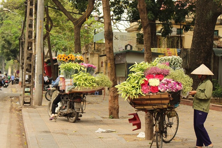 Loa kèn xuống phố gọi hè về ảnh 1