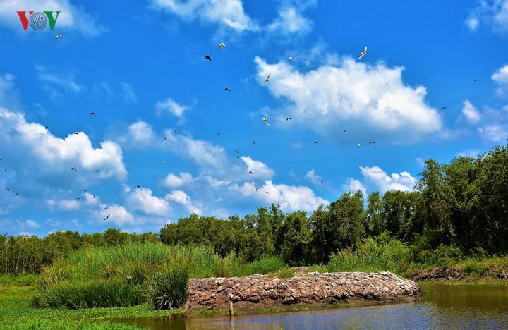 Điểm đến lý tưởng vùng sông nước miền Tây ảnh 3