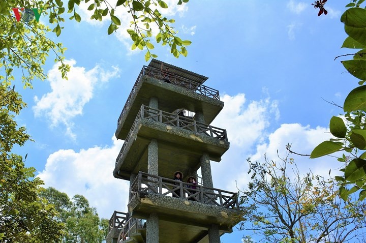 Điểm đến lý tưởng vùng sông nước miền Tây ảnh 6