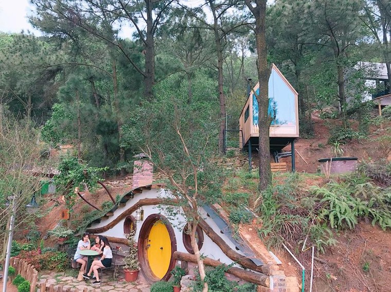 Trải nghiệm ngủ nhà gỗ giữa rừng thông cách Hà Nội nửa giờ chạy xe ảnh 1