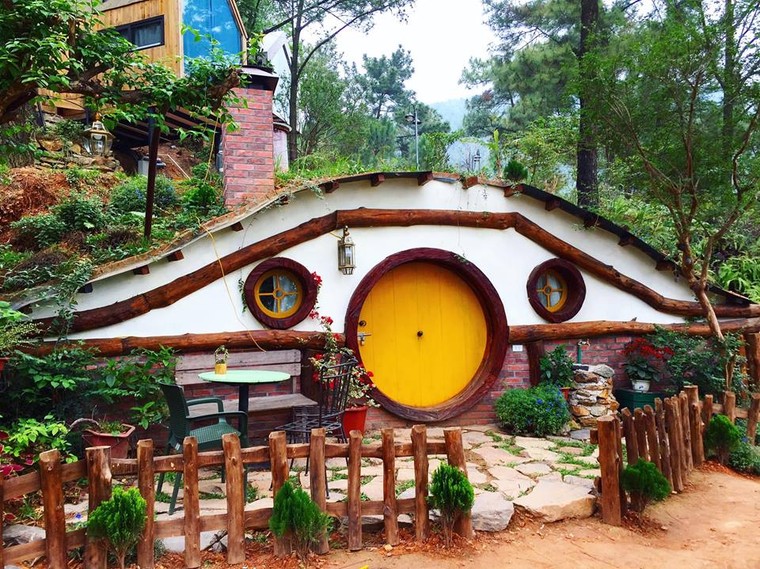 Trải nghiệm ngủ nhà gỗ giữa rừng thông cách Hà Nội nửa giờ chạy xe ảnh 2