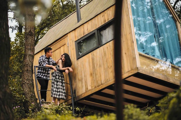 Trải nghiệm ngủ nhà gỗ giữa rừng thông cách Hà Nội nửa giờ chạy xe ảnh 6