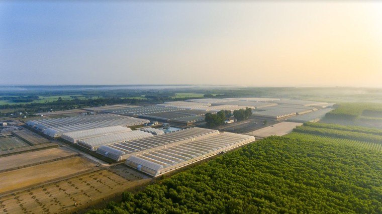 ‘Hành trình tương lai xanh’ cùng Vinmart & Vinmart+ ảnh 2