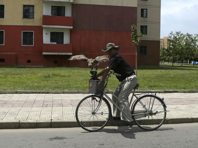 Những bức ảnh mới nhất về cuộc sống thường ngày của người dân Triều Tiên ảnh 3