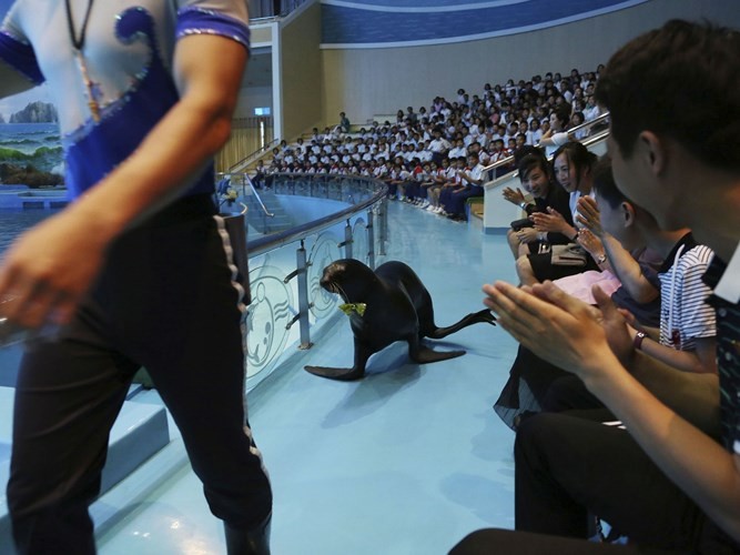 Những bức ảnh mới nhất về cuộc sống thường ngày của người dân Triều Tiên ảnh 9