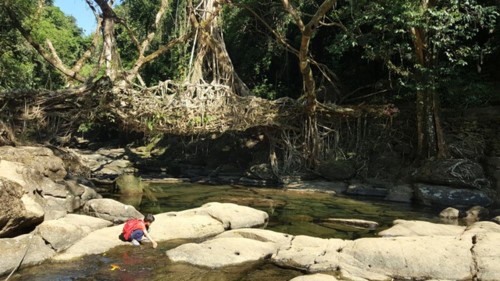 Phát triển du lịch nhờ… lối sống sạch ảnh 1