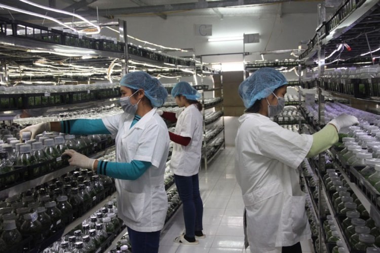 Đây là thời điểm quan trọng để điều chỉnh chiến lược thu hút FDI ảnh 1