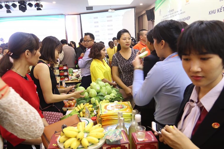 Đẩy mạnh kết nối cung - cầu hàng hóa giữa Hà Nội và các tỉnh ảnh 2