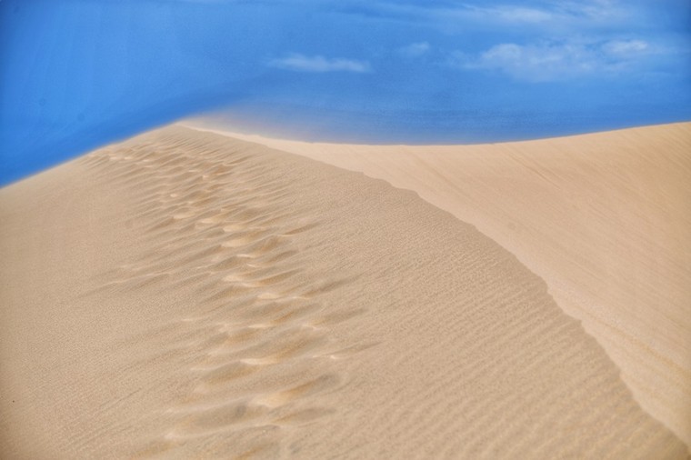 Từ xứ Panduranga - Ninh Thuận xưa tới ngôi sao mới trên bản đồ du lịch ảnh 2