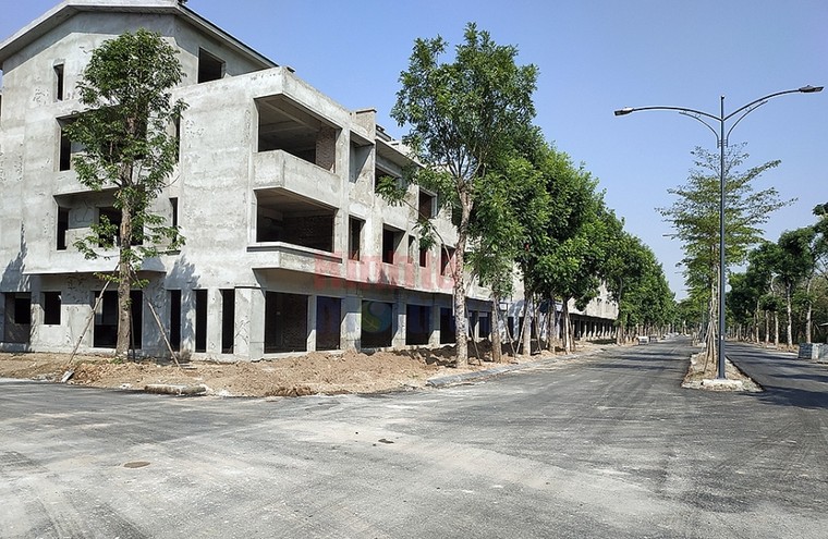 Hưng Yên: Cận cảnh hơn 200 căn biệt thự xây 'chui' tại Dự án Sago Palm Garden ảnh 4