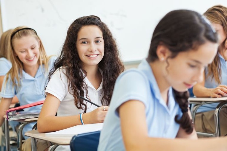 Sách giáo khoa ở Mỹ phần lớn do giáo viên chọn ảnh 2