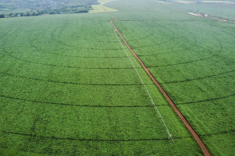 ‘Chia lửa’ cùng ngành y tế chống dịch bệnh COVID- 19 ảnh 2