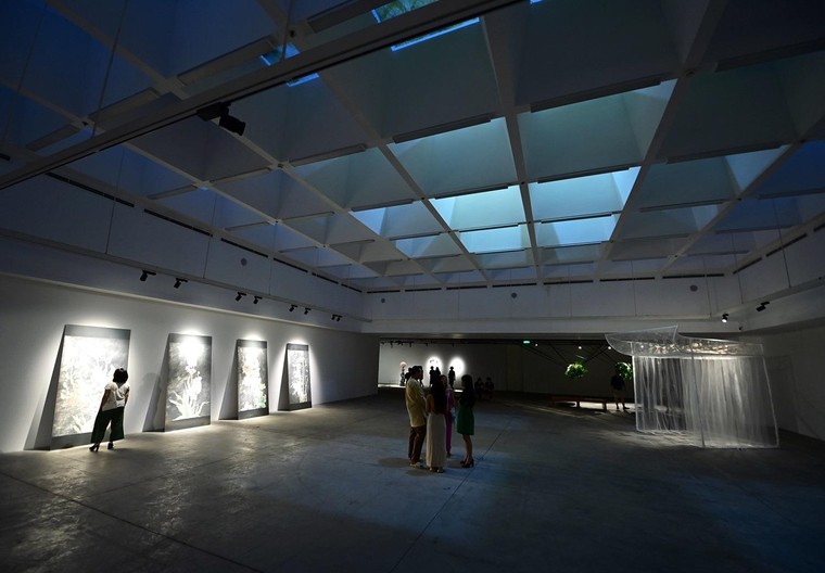 'Tỏa IV' tại VCCA: Cuộc đối thoại của người trẻ với tự nhiên ảnh 2