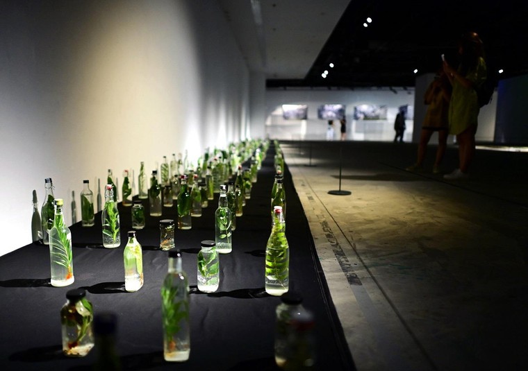 'Tỏa IV' tại VCCA: Cuộc đối thoại của người trẻ với tự nhiên ảnh 5