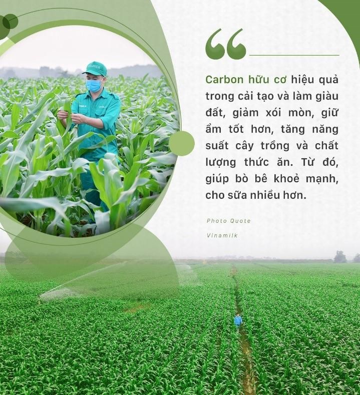 Doanh nghiệp được gì từ đầu tư cho phát triển bền vững? ảnh 4