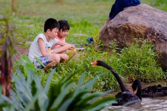 Sống ở Ecopark, trẻ có tuổi thơ gần gũi thiên nhiên ảnh 7