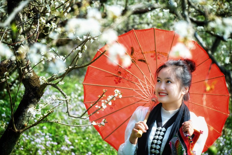 Lắng nghe mùa Xuân về ảnh 1