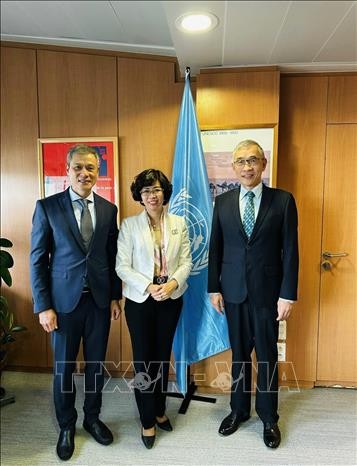 Việt Nam tham dự Kỳ họp lần thứ 217 Hội đồng Chấp hành UNESCO ảnh 3