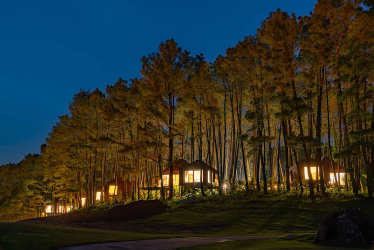 Green Pine Resort – Khu nghỉ dưỡng đồi thông mới được khám phá ở Ninh Bình ảnh 5