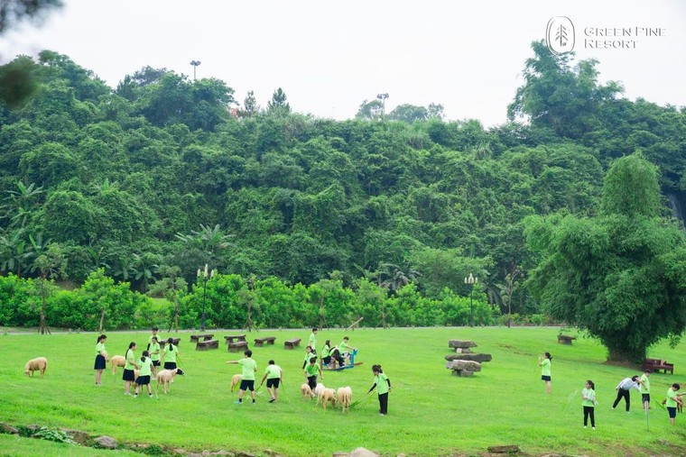 Green Pine Resort – Khu nghỉ dưỡng đồi thông mới được khám phá ở Ninh Bình ảnh 2