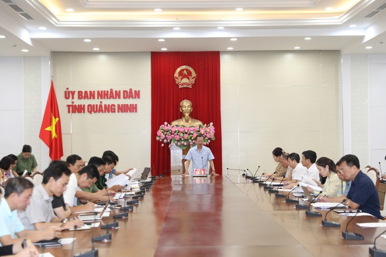 Quảng Ninh quyết tâm 3 ngày làm sạch Vịnh Hạ Long, sẵn sàng đón khách du lịch sau bão số 3 ảnh 1