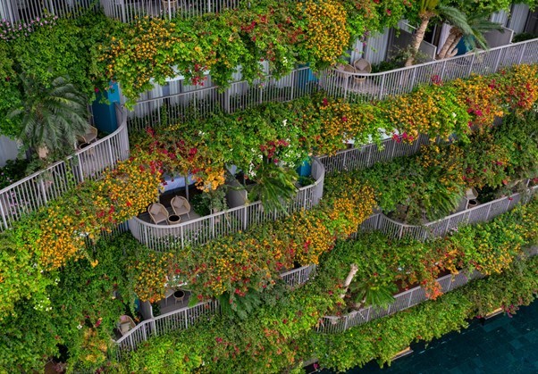 Liệu pháp chữa lành ở Flamingo Cát Bà Resorts với hệ sinh thái 160 trải nghiệm độc bản ảnh 1