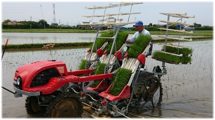 Biến bữa ăn học đường thành “khoản đầu tư cho tương lai”: Câu chuyện từ Thành phố hữu cơ Kisarazu Nhật Bản ảnh 1