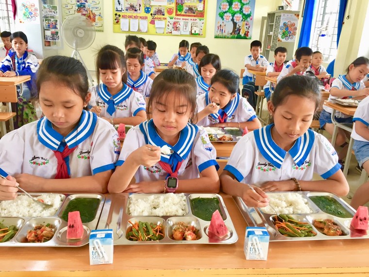 Tập đoàn TH: Hành trình bền bỉ vì một Việt Nam khỏe mạnh, vì tầm vóc Việt ảnh 4