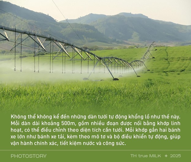 Những cỗ “siêu máy” trên cánh đồng nguyên liệu 8.100 ha của TH true MILK ảnh 4